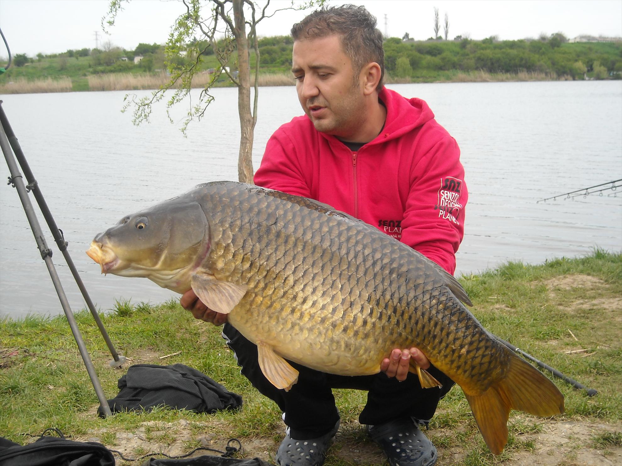 Crapmania - 2010 - crapmania-2010-241.jpg